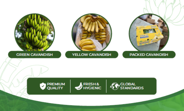 SHAH INTERNATIONAL AGRO