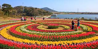 Kashmir Tulip Festival
