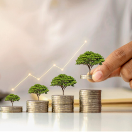 Wealth Management